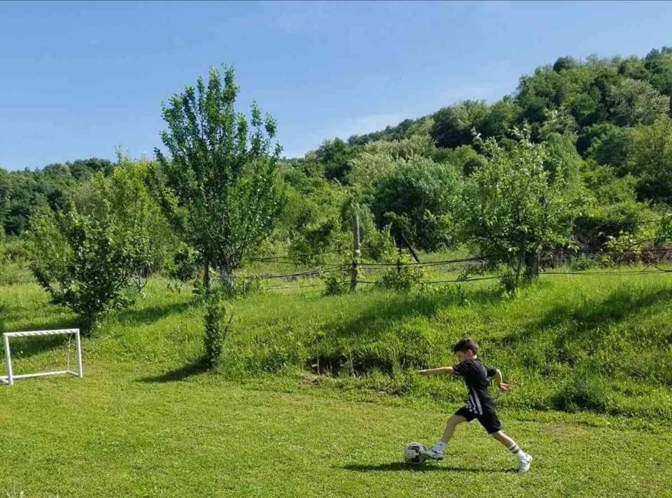 Zelinjski Vidikovac Zvornik Esterno foto